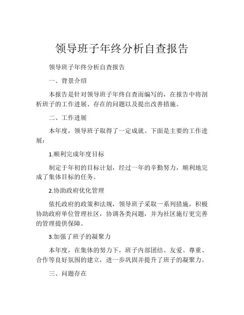 领导班子年终分析自查报告