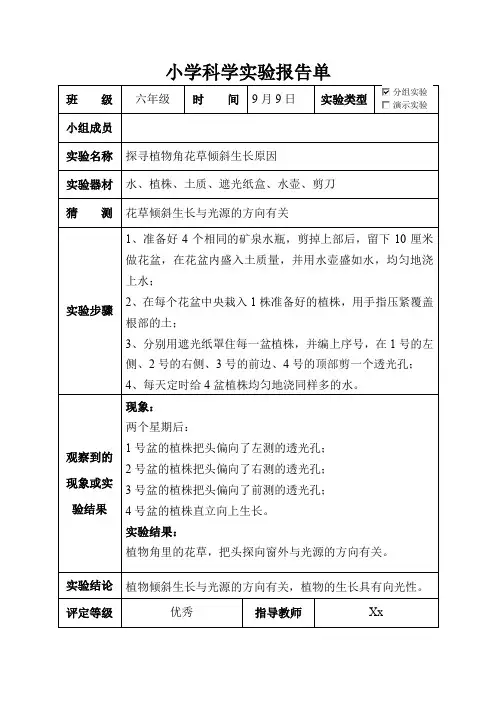 六年级科学上册实验报告单探寻植物角花草倾斜生长原因.doc