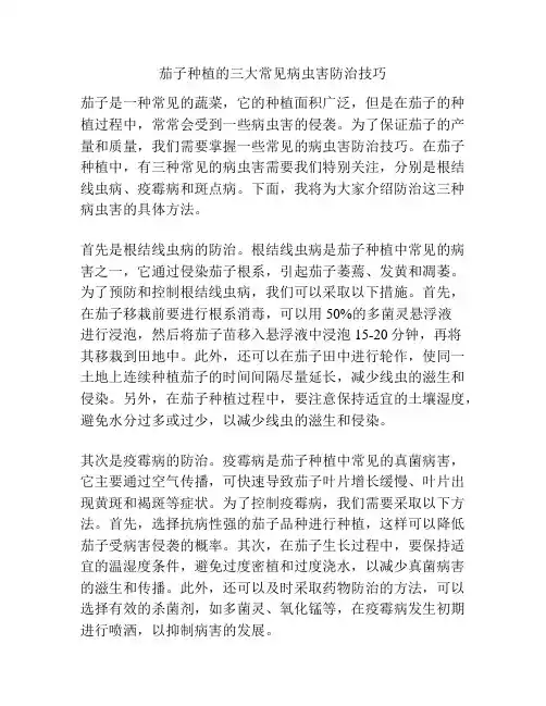 茄子种植的三大常见病虫害防治技巧