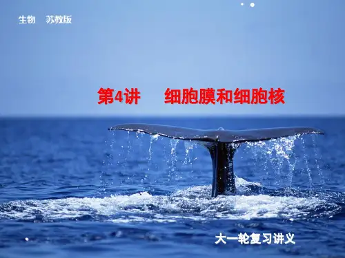 2014届高考(苏教版)生物大一轮课件：第4讲 细胞膜和细胞核(共91张PPT)