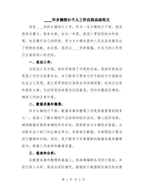2024年乡镇统计个人工作自我总结范文