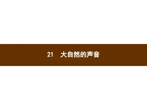 三年级上册语文习题课件-21 大自然的声音 部编版(共11张PPT)