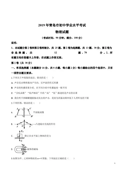 2021年山东省青岛市中考物理试题(原卷)