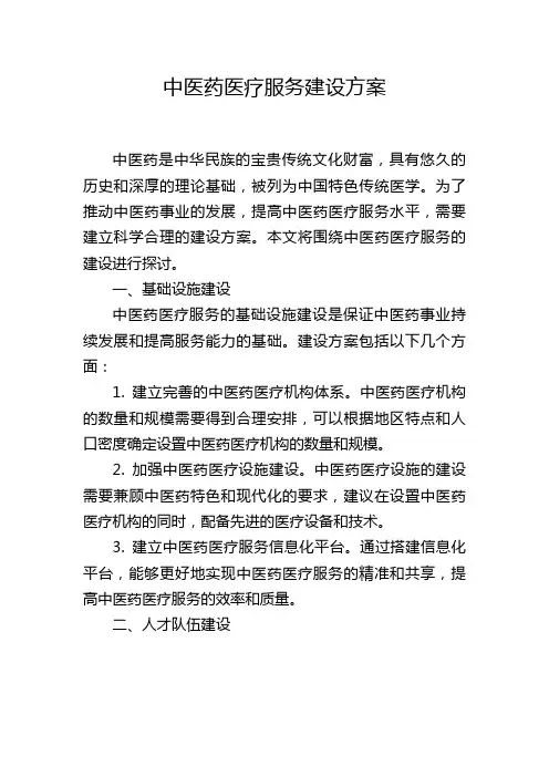 中医药医疗服务建设方案