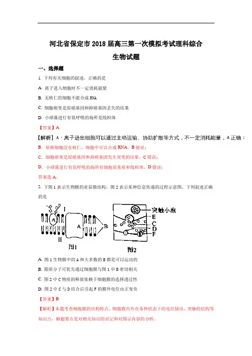 河北省保定市2018届高三第一次模拟考试生物试题 含解析 精品
