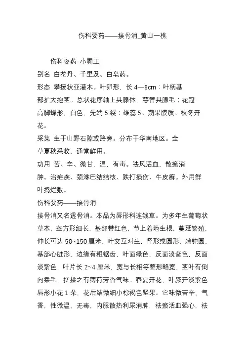 伤科要药接骨消-黄山一樵