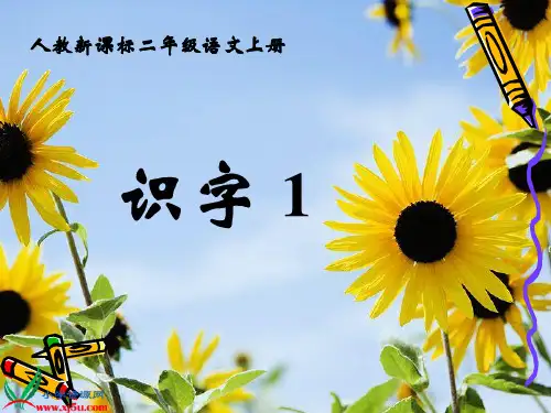 (人教新课标)二年级语文上册课件 识字1 1