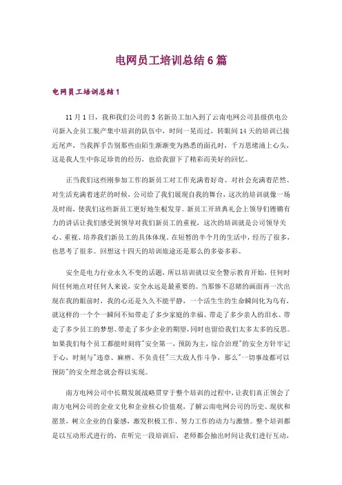 电网员工培训总结6篇