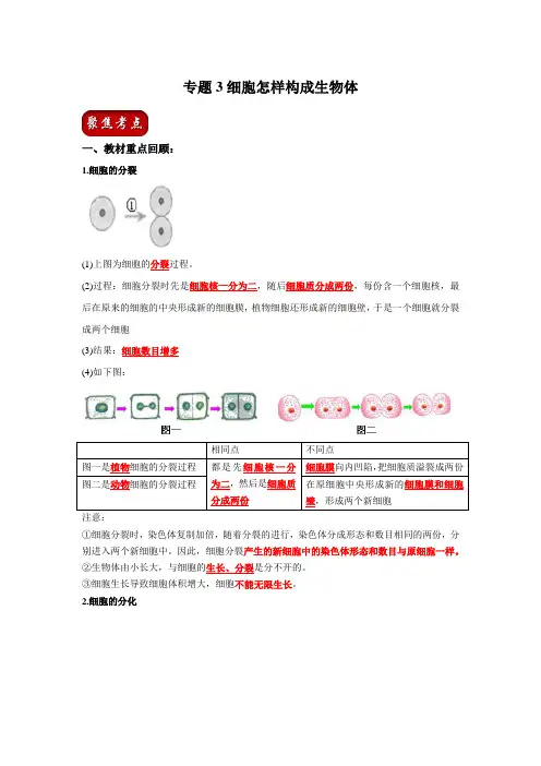 2020年中考生物一轮复习讲义 专题03 细胞怎样构成生物体(解析版)