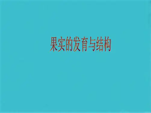 果实的发育与结构(共45张PPT)