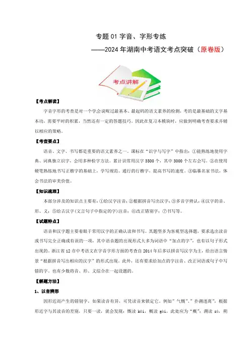 专题01字音字形专练(原卷版)