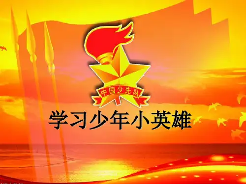 学习少年小英雄