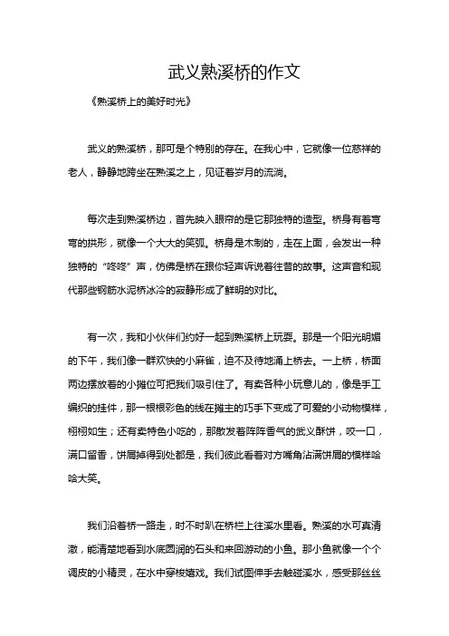 武义熟溪桥的作文