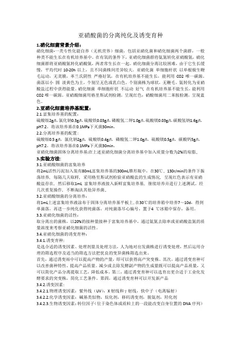 亚硝化细菌的分离纯化及诱变育种