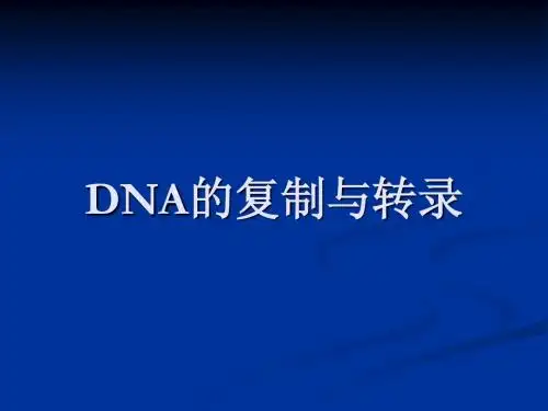 14考研生物化学DNA的复制与转录