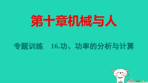 安徽省八年级物理下册第10章机械与人专题训练：功功率的分析与计算pptx课件新版沪科版