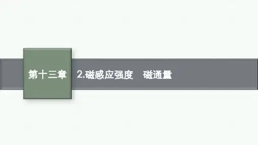 人教版高中物理必修第三册精品课件 第十三章 电磁感应与电磁波初步 2.磁感应强度 磁通量