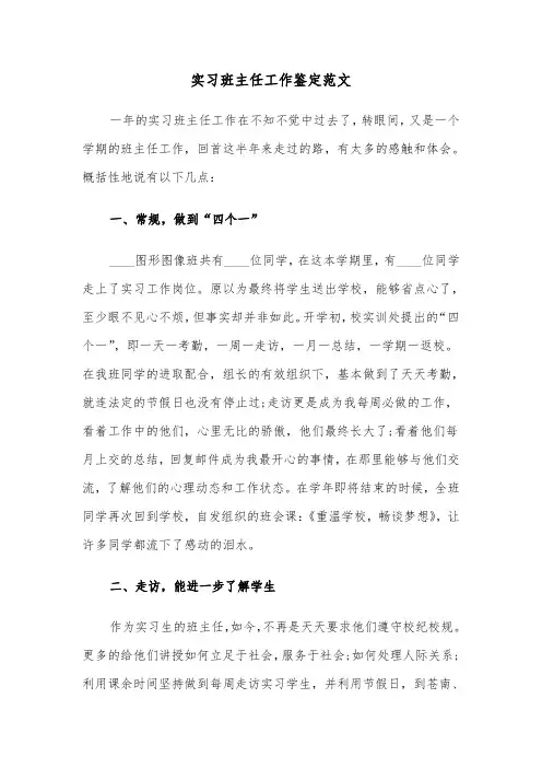 实习班主任工作鉴定范文(六篇)