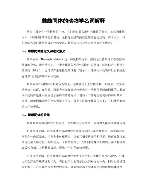 雌雄同体的动物学名词解释