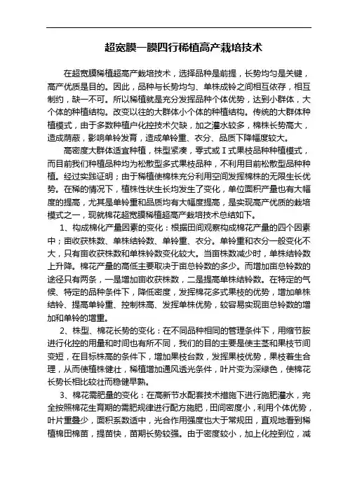 超宽膜一膜四行稀植高产栽培技术