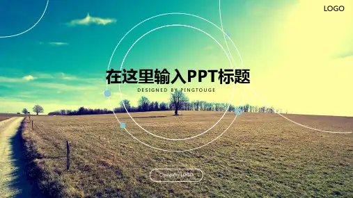 欧美华丽梦幻时尚多线条静态工作报告ppt模板
