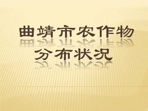 云南曲靖烟草情况