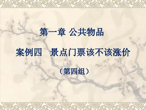 公共经济学案例分析范例