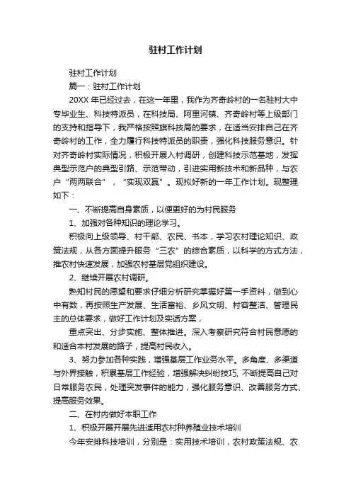驻村工作计划