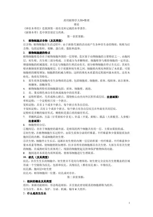 药用植物学大纲+整理