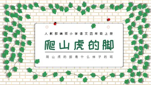小学四年级上册《爬山虎的脚》语文完整课件人教部编版
