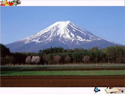 六年级数学下册9.2用表达式表示变量之间的关系 优秀课件鲁教版五四制
