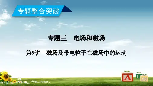 精选-高考物理二轮复习专题三电场和磁场第9讲磁场及带电粒子在磁场中的运动课件