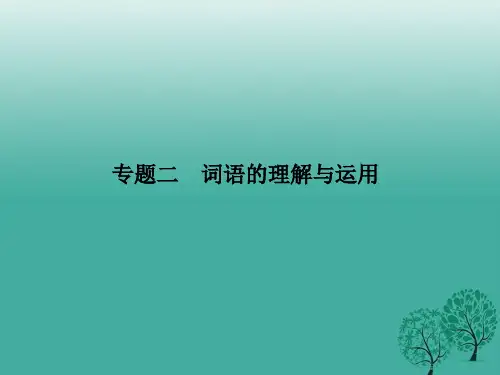 【语文版】2019年春八年级语文下册专题复习(2)词语的理解与运用ppt课件   大赛获奖精美课件PPT