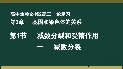 减数分裂和受精作用 详图 秒懂