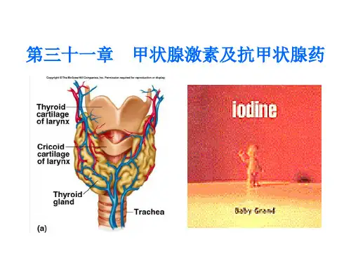 三十一章甲状腺激素及抗甲状腺药