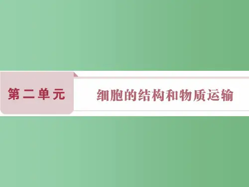 高考生物总复习 第2单元 第5讲 细胞膜课件