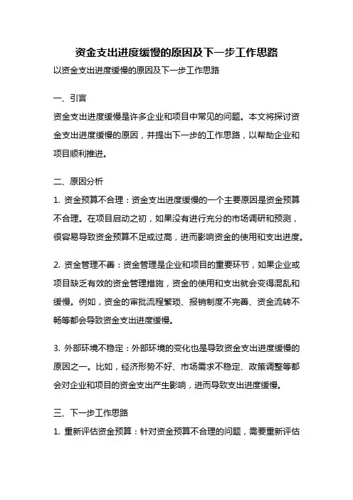 资金支出进度缓慢的原因及下一步工作思路