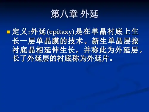 第八章 外延
