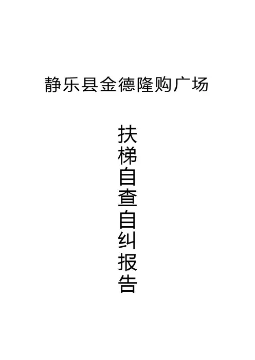 扶梯自查自纠报告