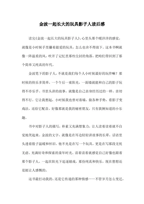 金波一起长大的玩具影子人读后感