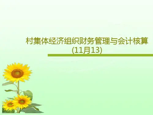 村集体经济组织财务管理与会计核算(11月13)84页PPT