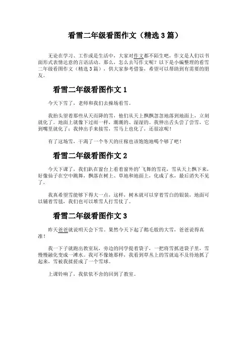 看雪二年级看图作文(精选3篇)