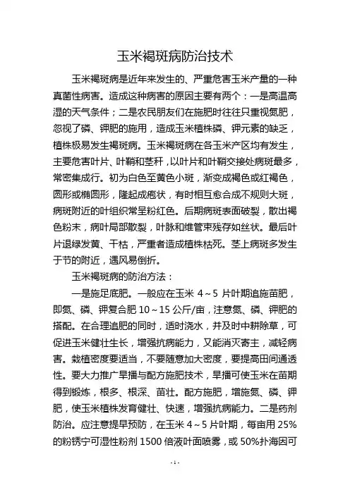 玉米褐斑病防治技术