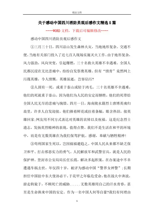 关于感动中国四川消防员观后感作文精选5篇