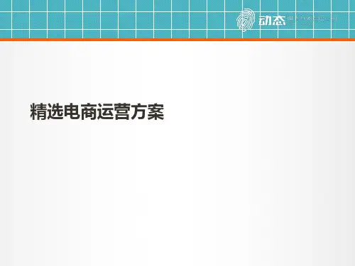 电商运营方案PPT课件