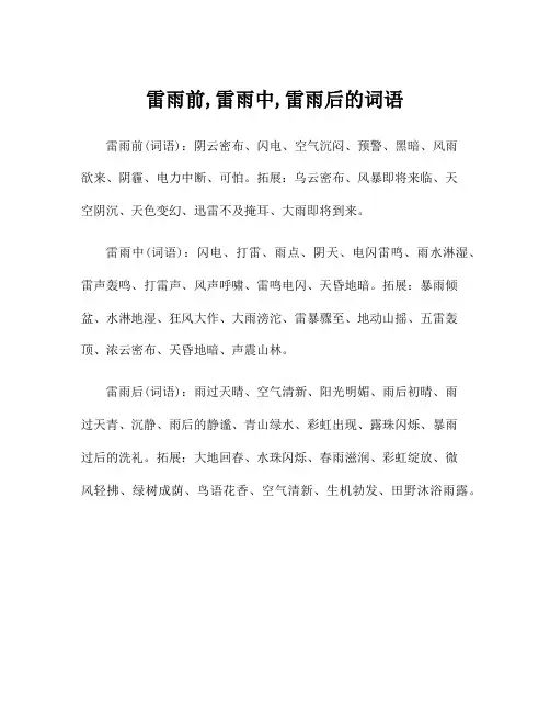 雷雨前,雷雨中,雷雨后的词语