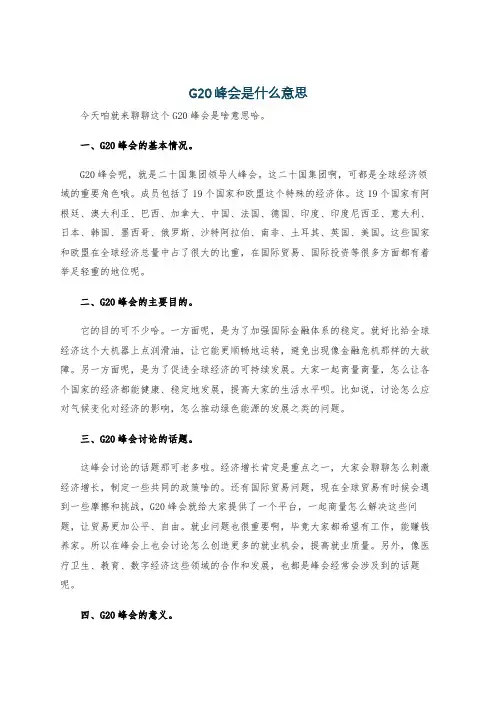 G20峰会是什么意思