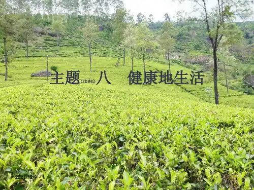 中考生物会考总复习 主题八 健康的生活课件