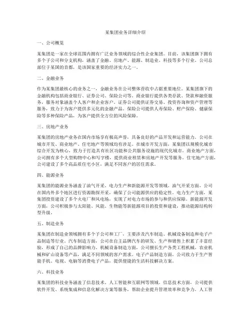 某集团业务详细介绍
