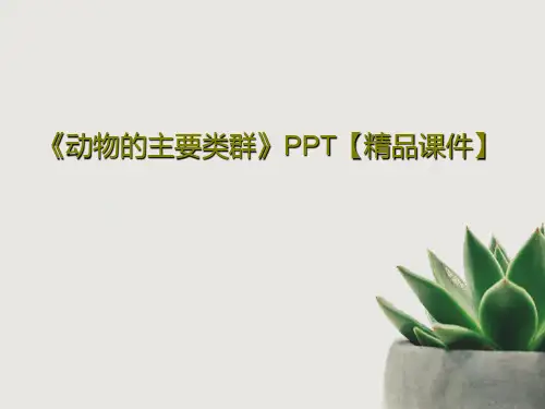 《动物的主要类群》PPT【精品课件】共29页
